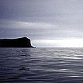 Avacha Bay